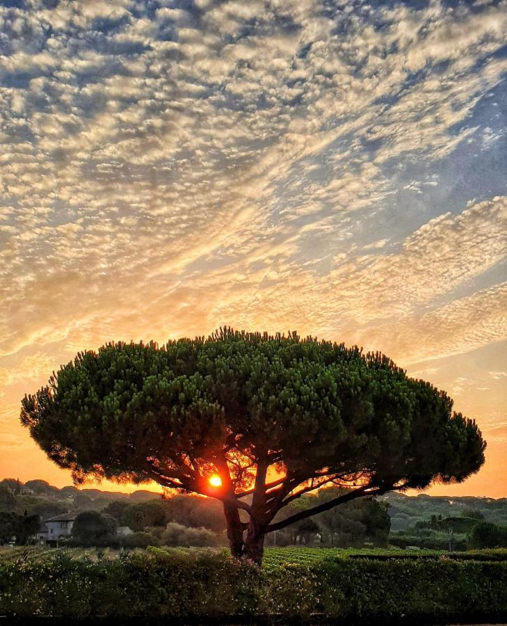 Villa Alba Saint-Tropez Eksteriør bilde