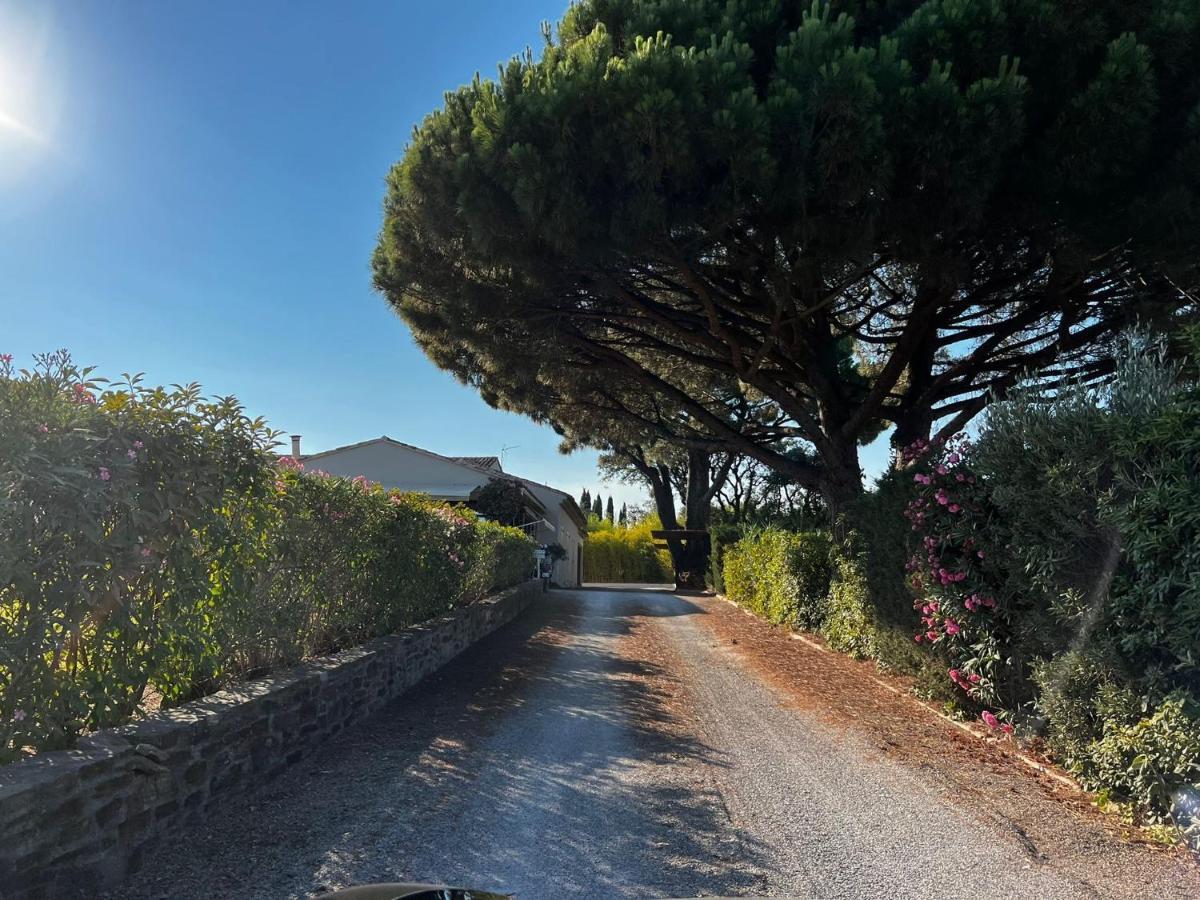 Villa Alba Saint-Tropez Eksteriør bilde