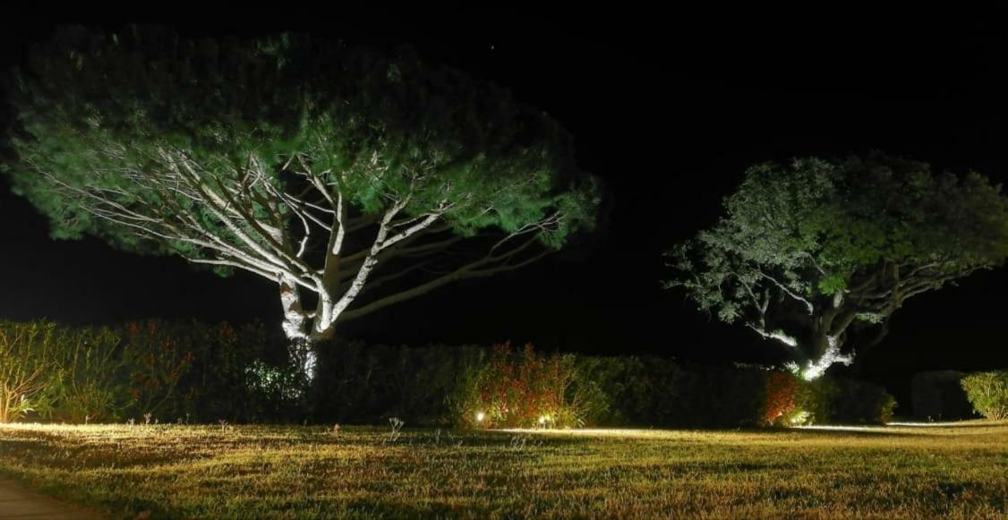 Villa Alba Saint-Tropez Eksteriør bilde