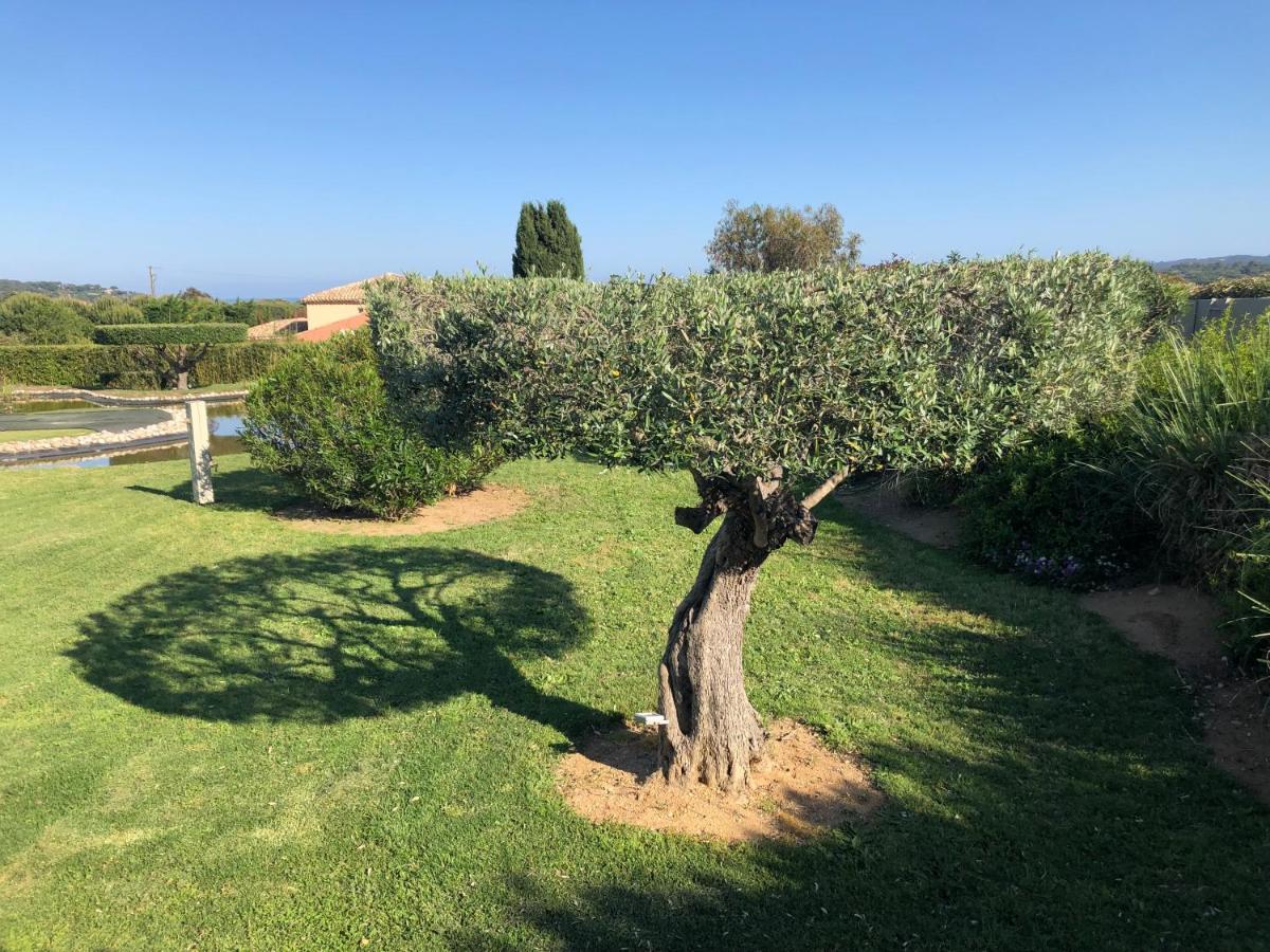 Villa Alba Saint-Tropez Eksteriør bilde